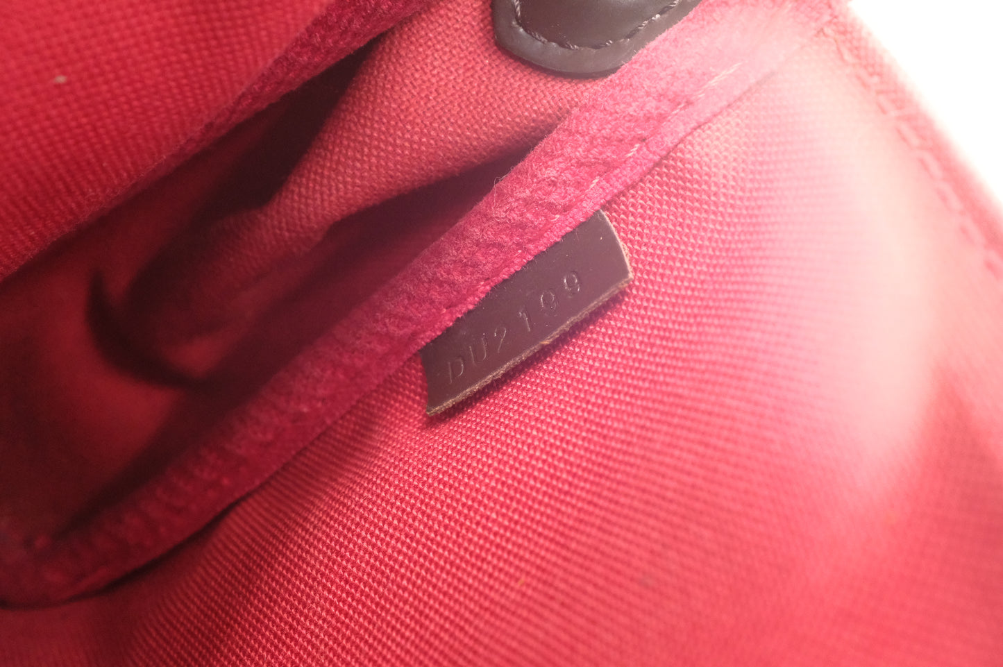 Louis Vuitton Favorite MM in Damier Ebene Canvas