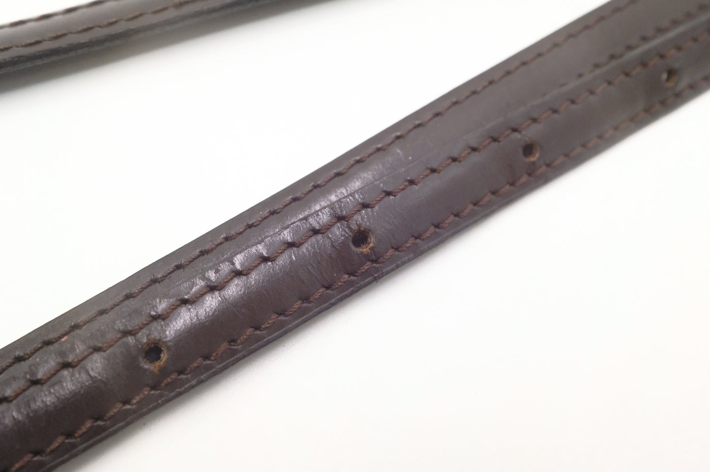 Louis Vuitton Favorite MM in Damier Ebene Canvas