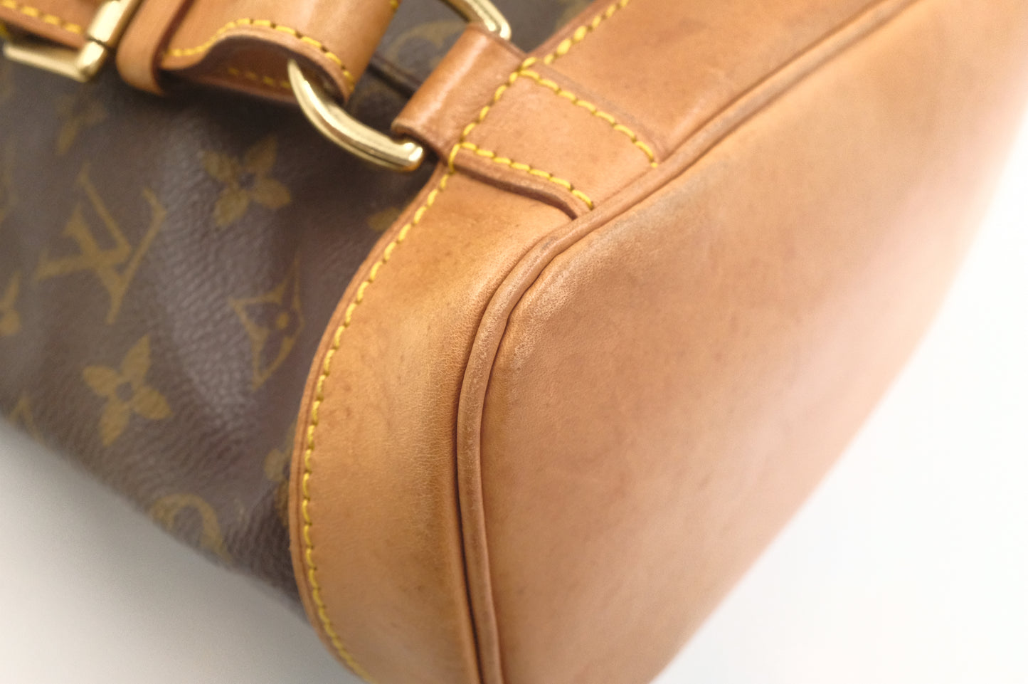 Louis Vuitton Montsouris MM in Monogram Canvas