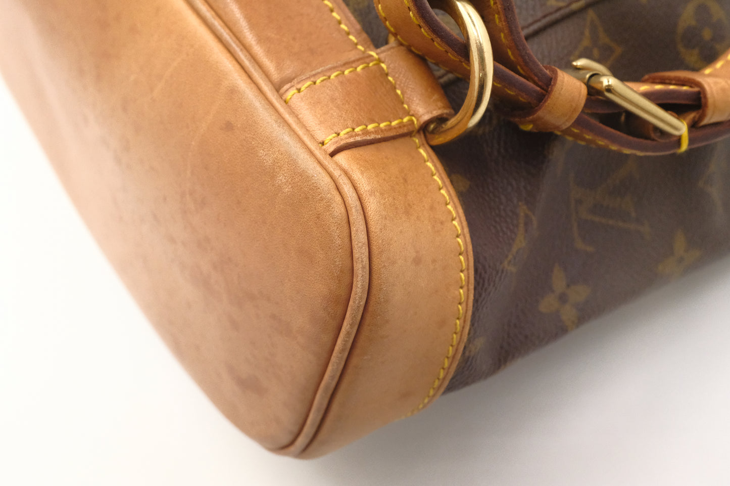 Louis Vuitton Montsouris MM in Monogram Canvas
