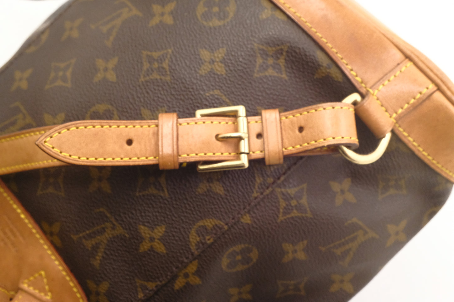 Louis Vuitton Montsouris MM in Monogram Canvas