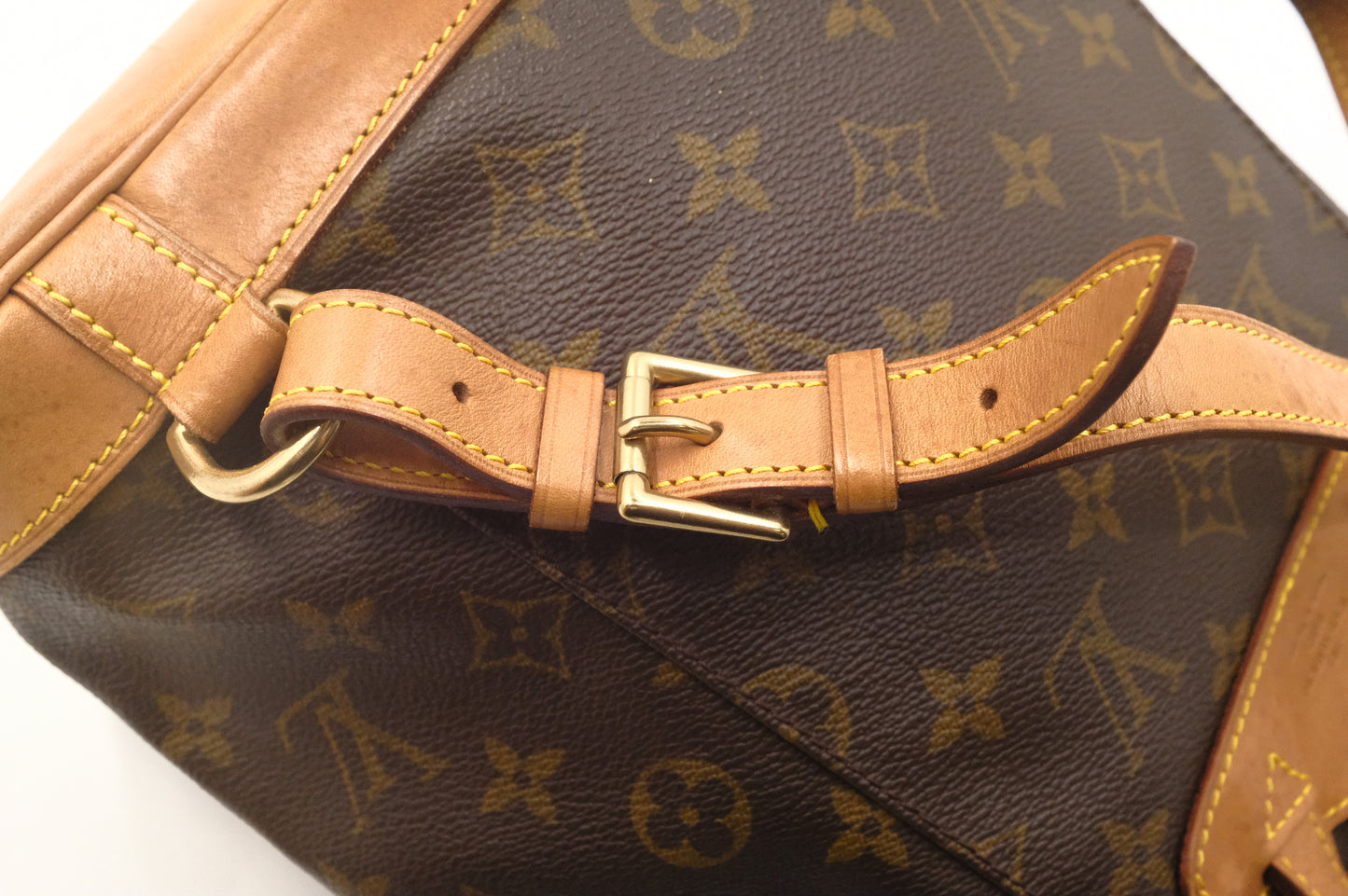 Louis Vuitton Montsouris MM in Monogram Canvas