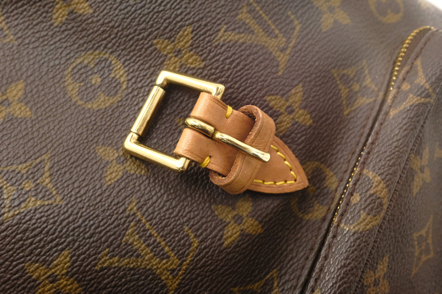 Louis Vuitton Montsouris MM in Monogram Canvas