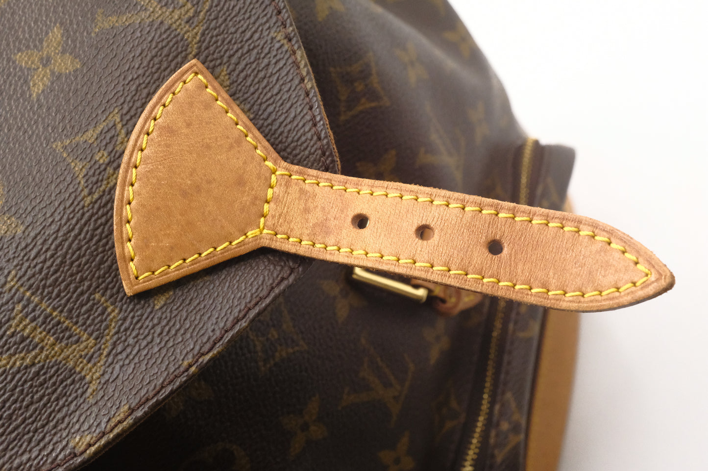 Louis Vuitton Montsouris MM in Monogram Canvas