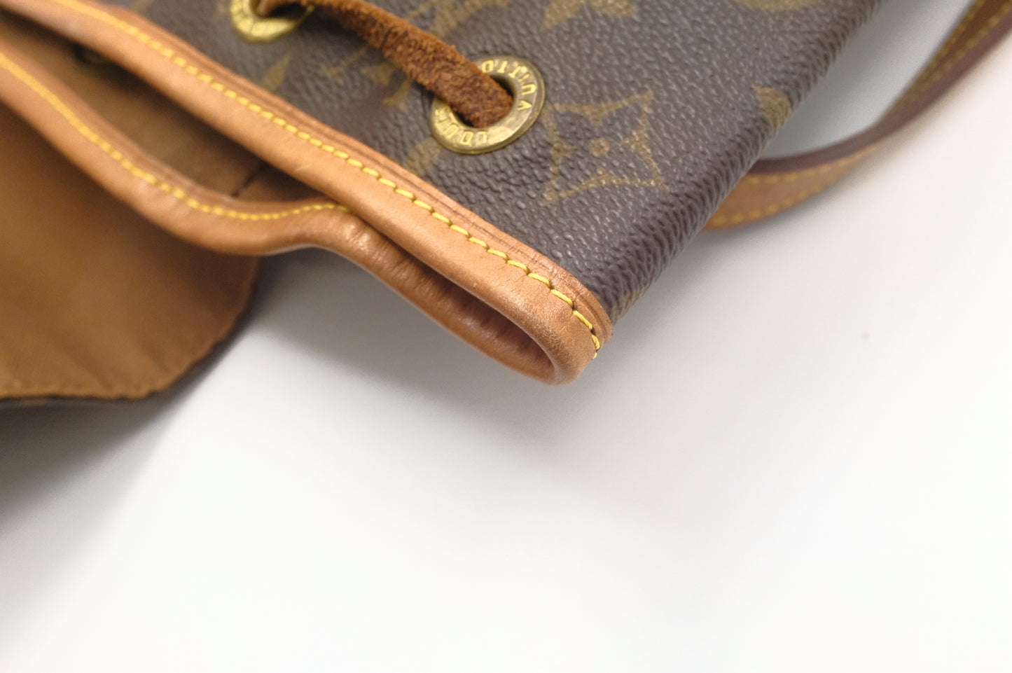Louis Vuitton Montsouris MM in Monogram Canvas
