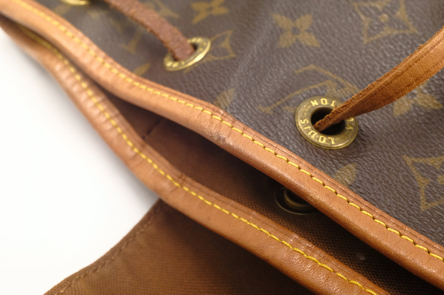 Louis Vuitton Montsouris MM in Monogram Canvas