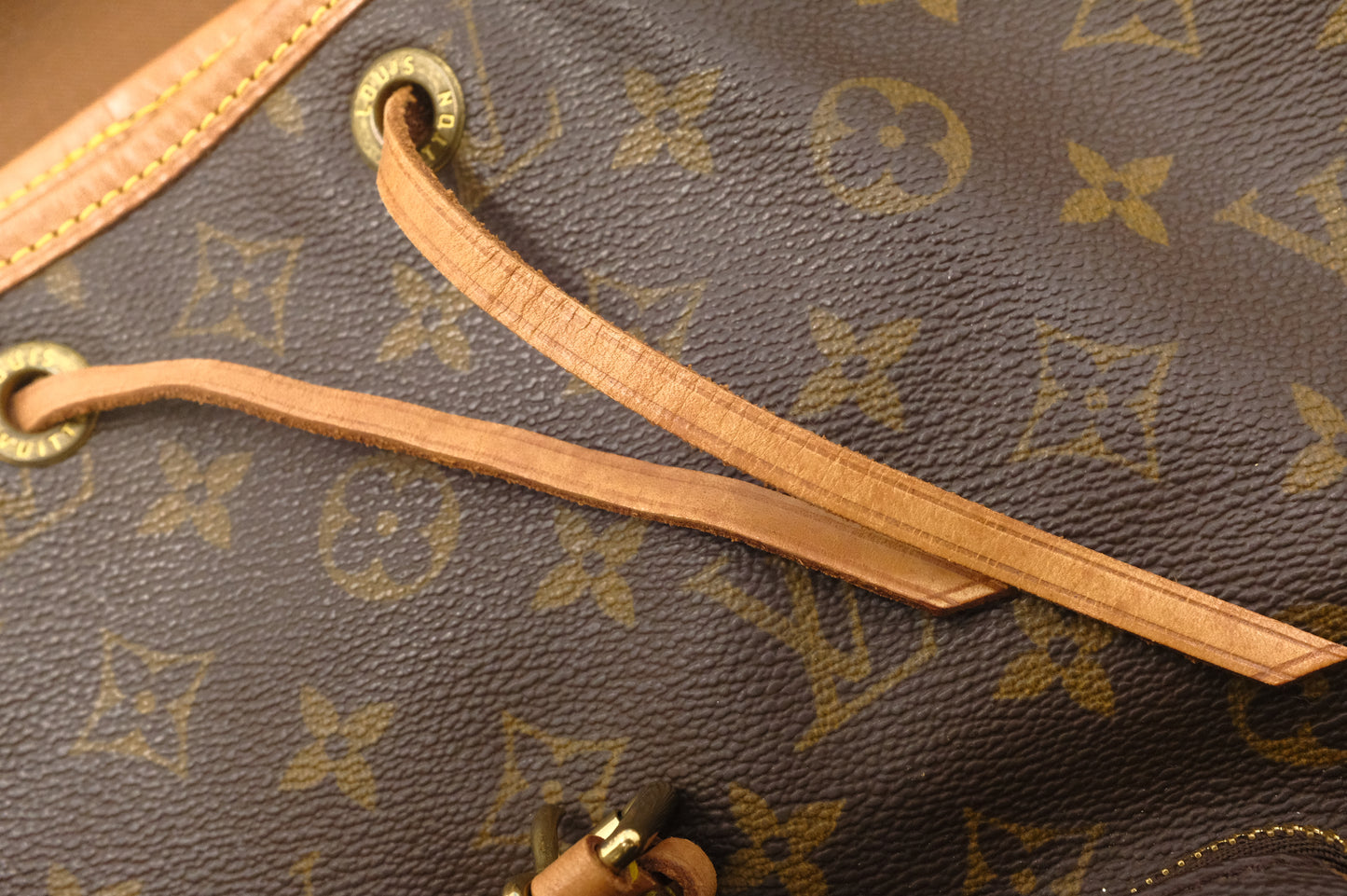 Louis Vuitton Montsouris MM in Monogram Canvas