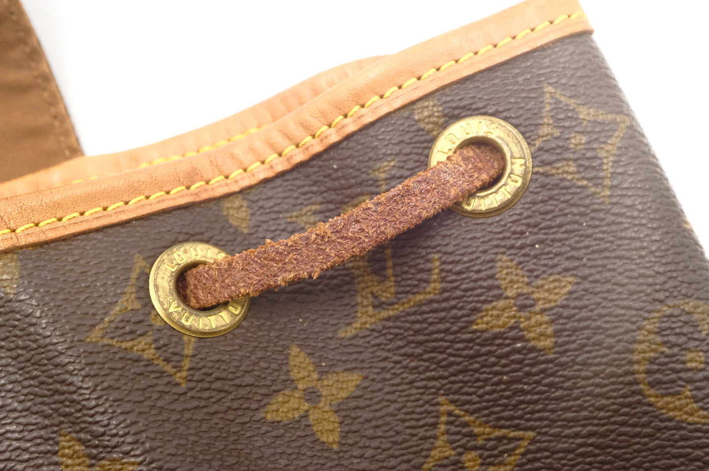 Louis Vuitton Montsouris MM in Monogram Canvas