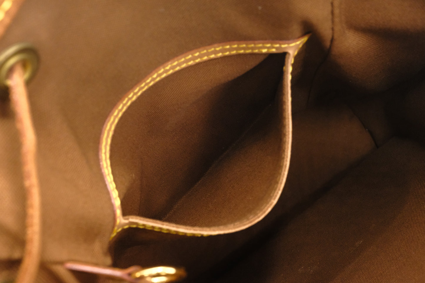Louis Vuitton Montsouris MM in Monogram Canvas