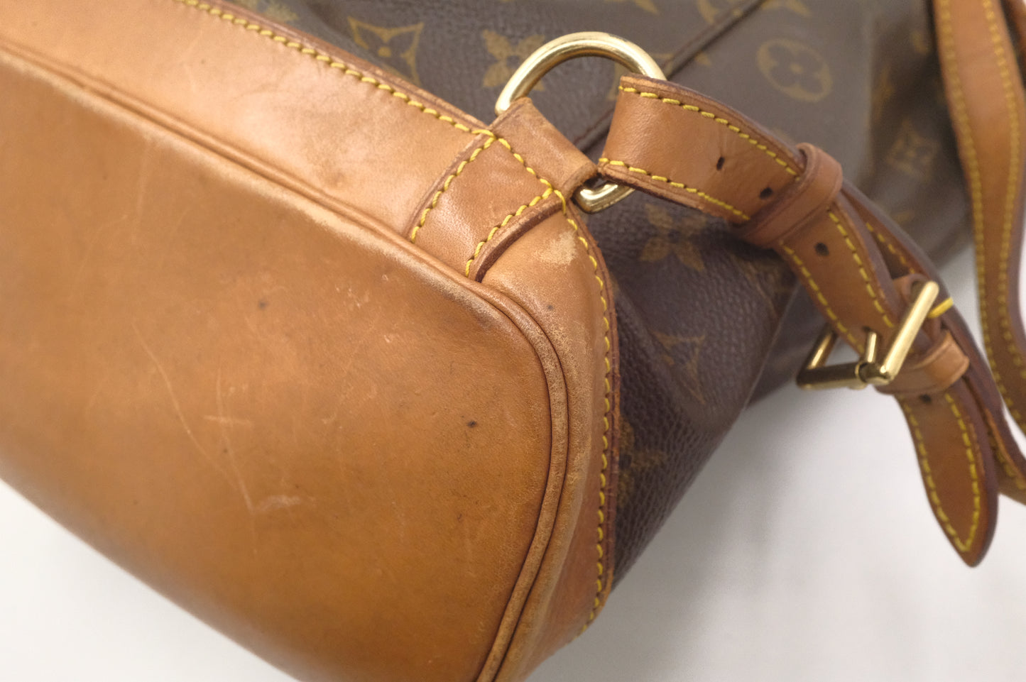 Louis Vuitton Montsouris MM in Monogram Canvas