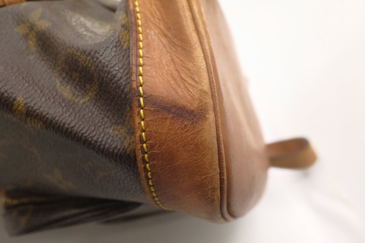 Louis Vuitton Montsouris MM in Monogram Canvas