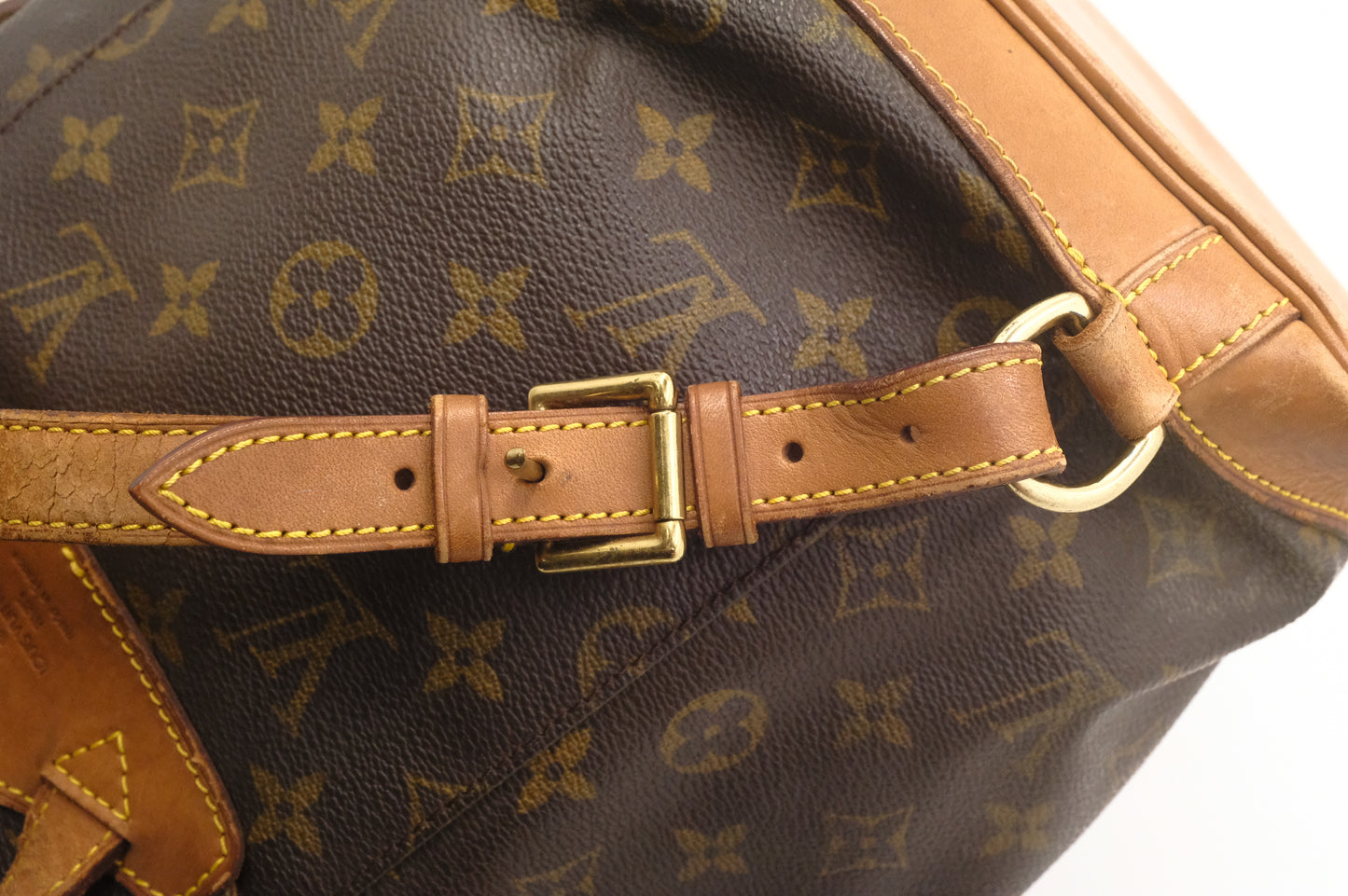 Louis Vuitton Montsouris MM in Monogram Canvas