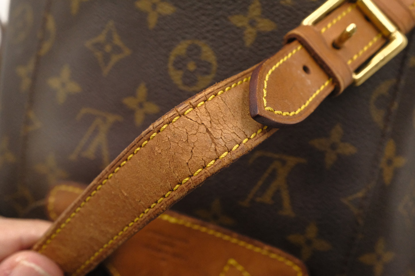 Louis Vuitton Montsouris MM in Monogram Canvas
