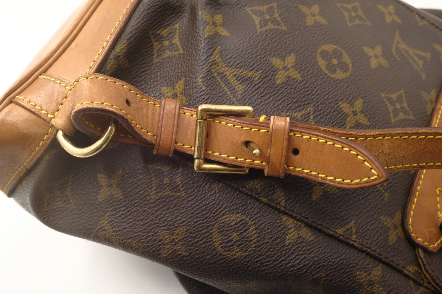 Louis Vuitton Montsouris MM in Monogram Canvas