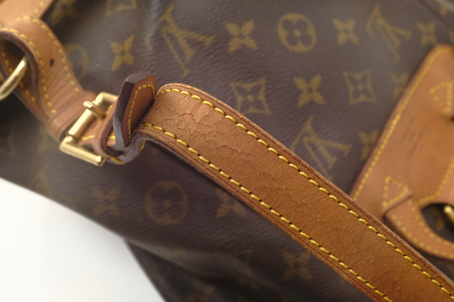 Louis Vuitton Montsouris MM in Monogram Canvas
