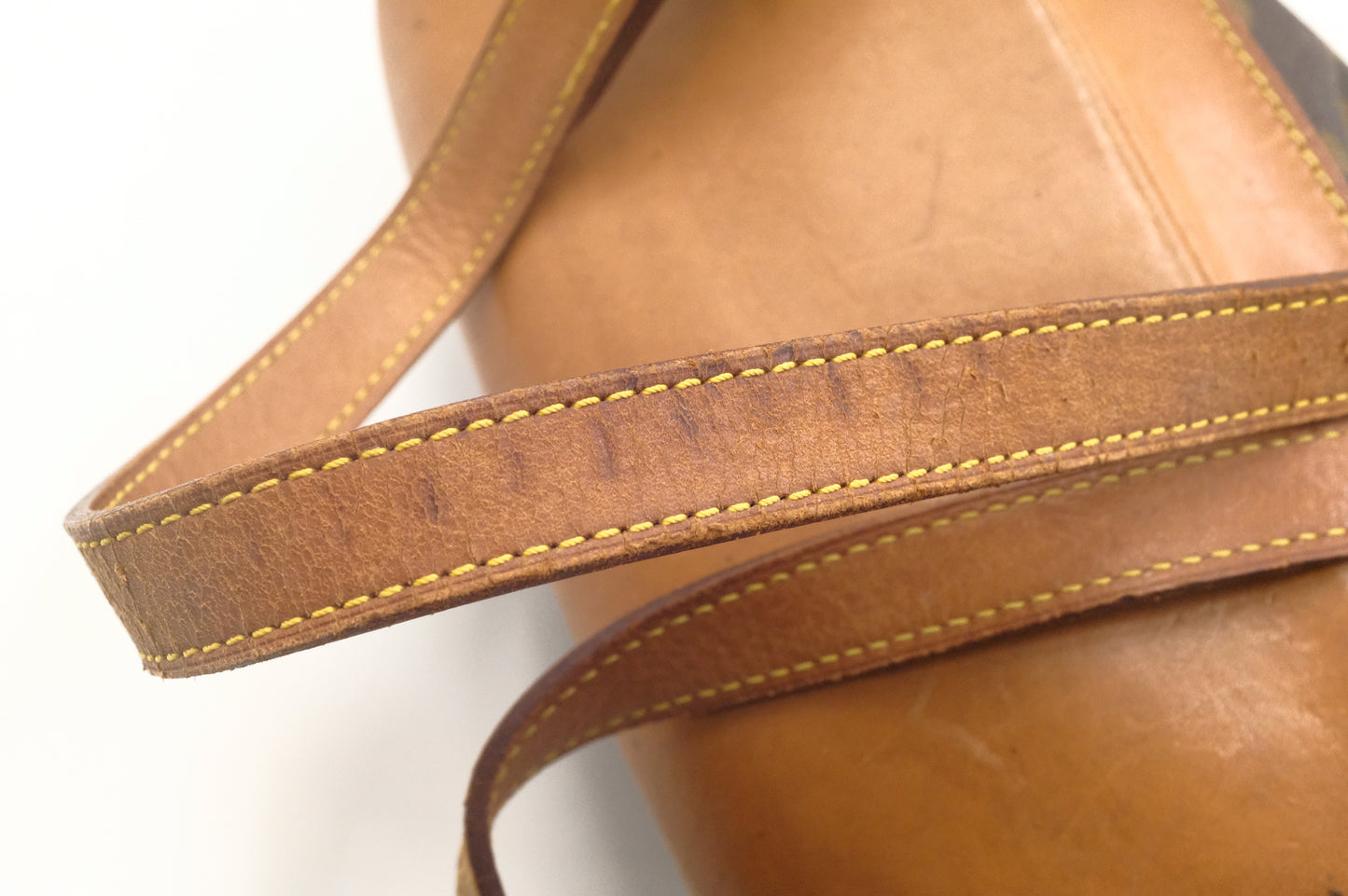 Louis Vuitton Montsouris MM in Monogram Canvas