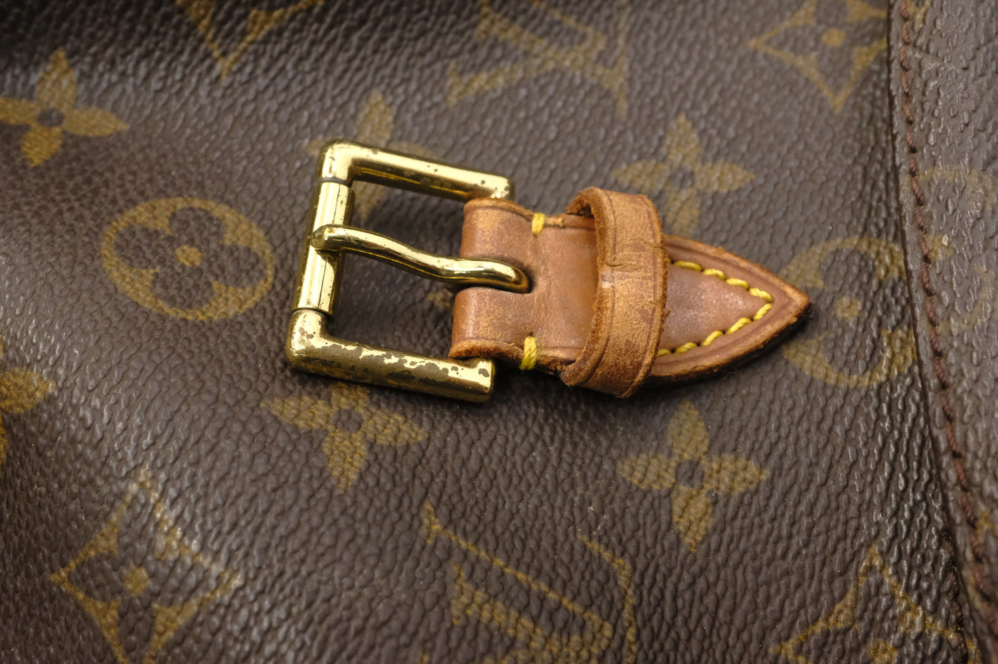 Louis Vuitton Montsouris MM in Monogram Canvas
