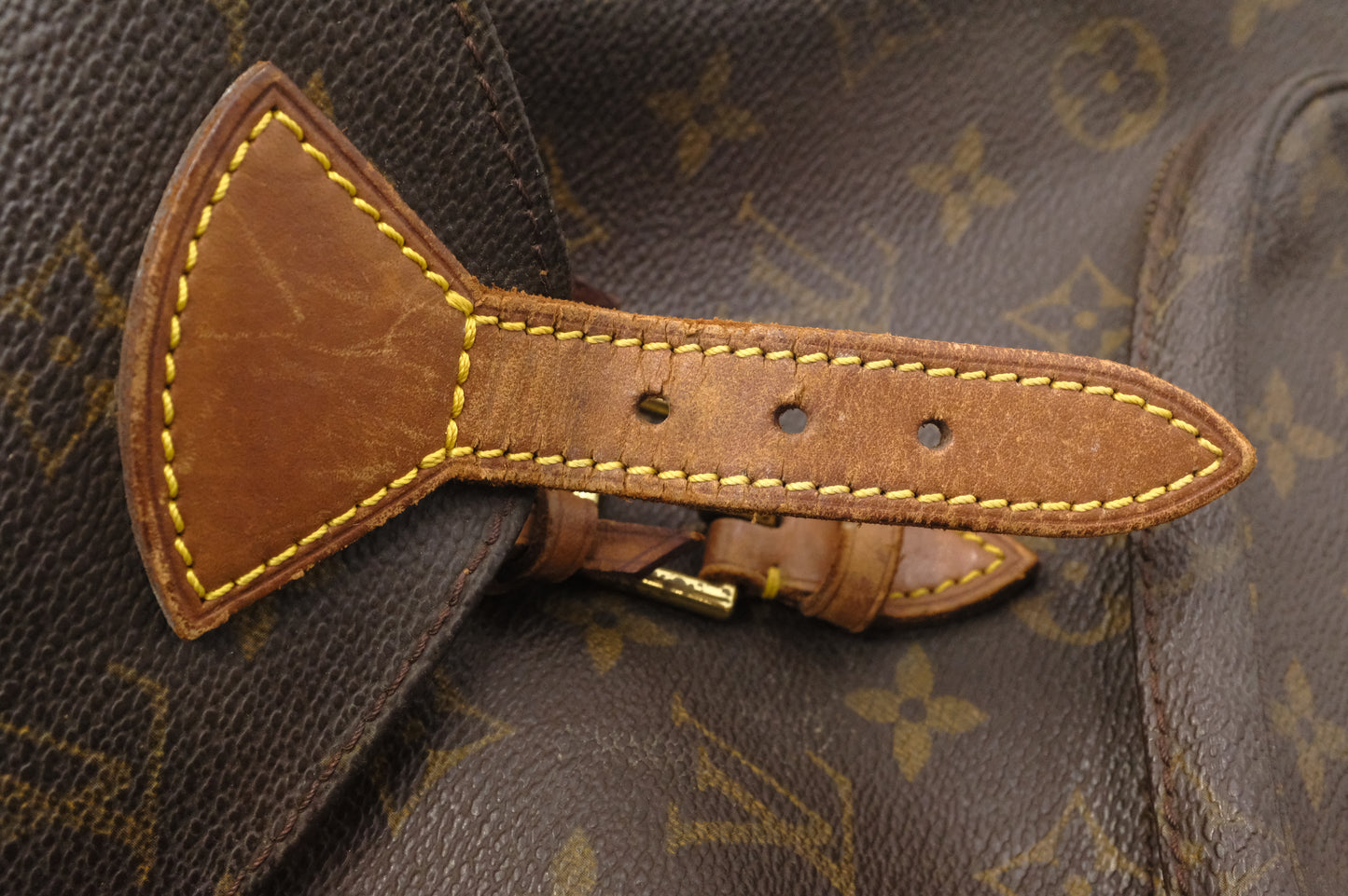 Louis Vuitton Montsouris MM in Monogram Canvas