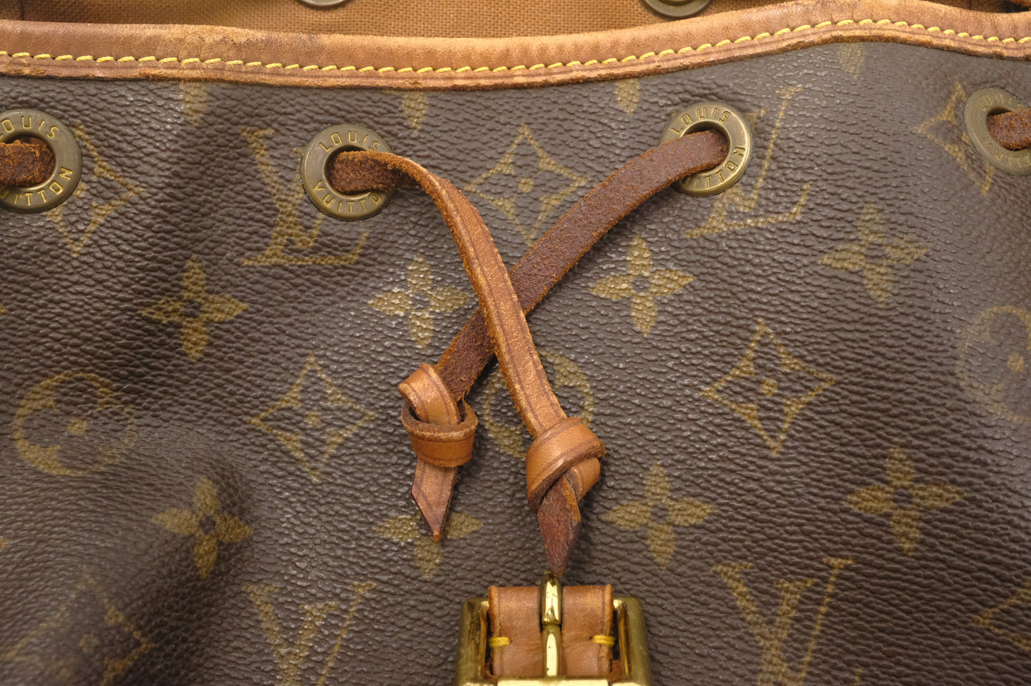 Louis Vuitton Montsouris MM in Monogram Canvas