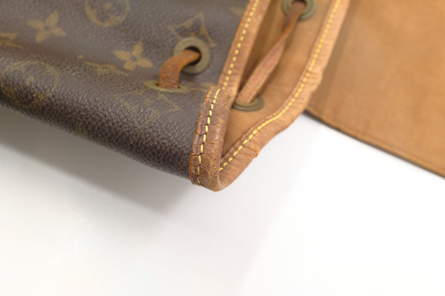 Louis Vuitton Montsouris MM in Monogram Canvas