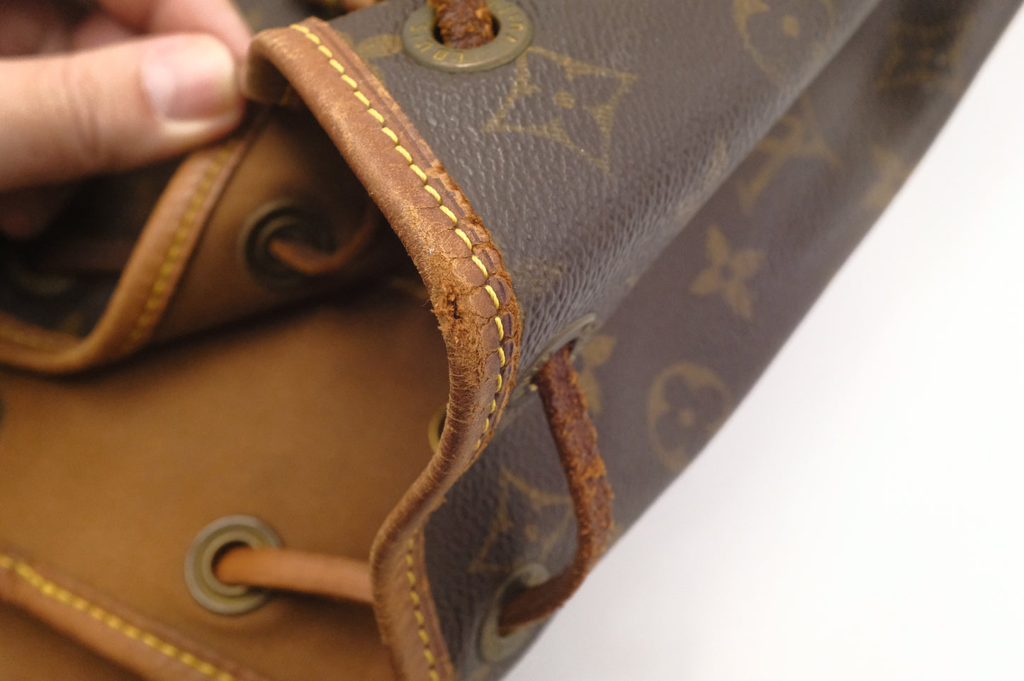 Louis Vuitton Montsouris MM in Monogram Canvas