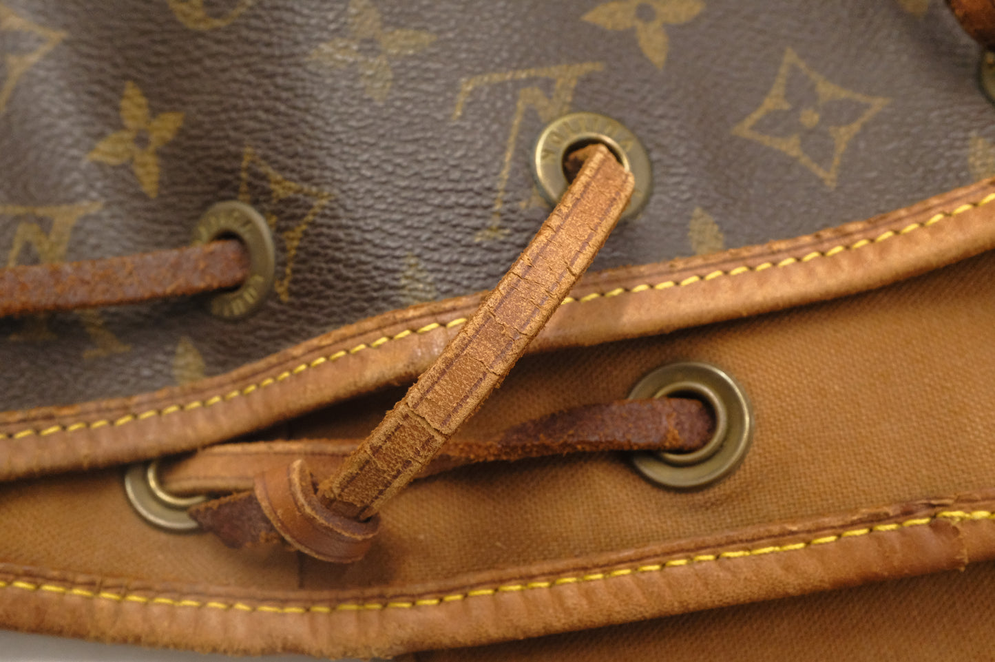 Louis Vuitton Montsouris MM in Monogram Canvas