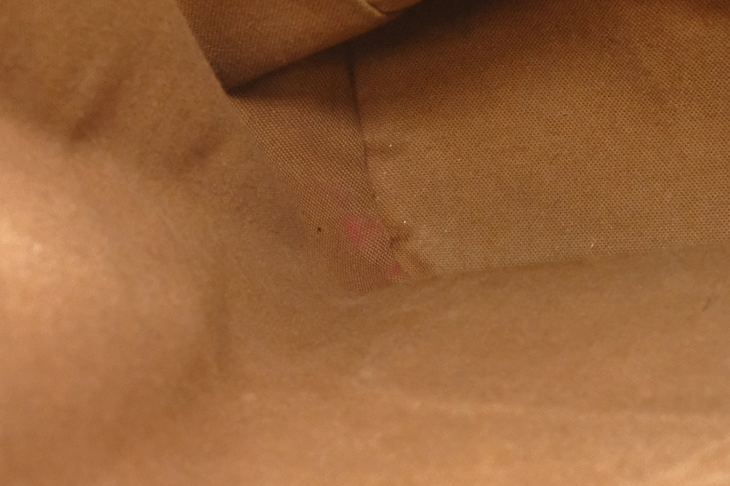 Louis Vuitton Montsouris MM in Monogram Canvas