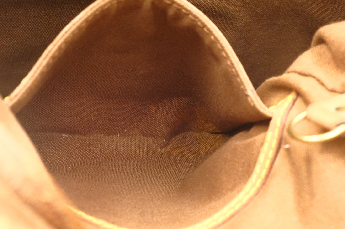 Louis Vuitton Montsouris MM in Monogram Canvas