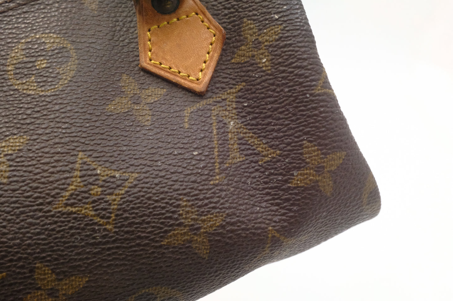 Louis Vuitton Mini Speedy in Monogram Canvas