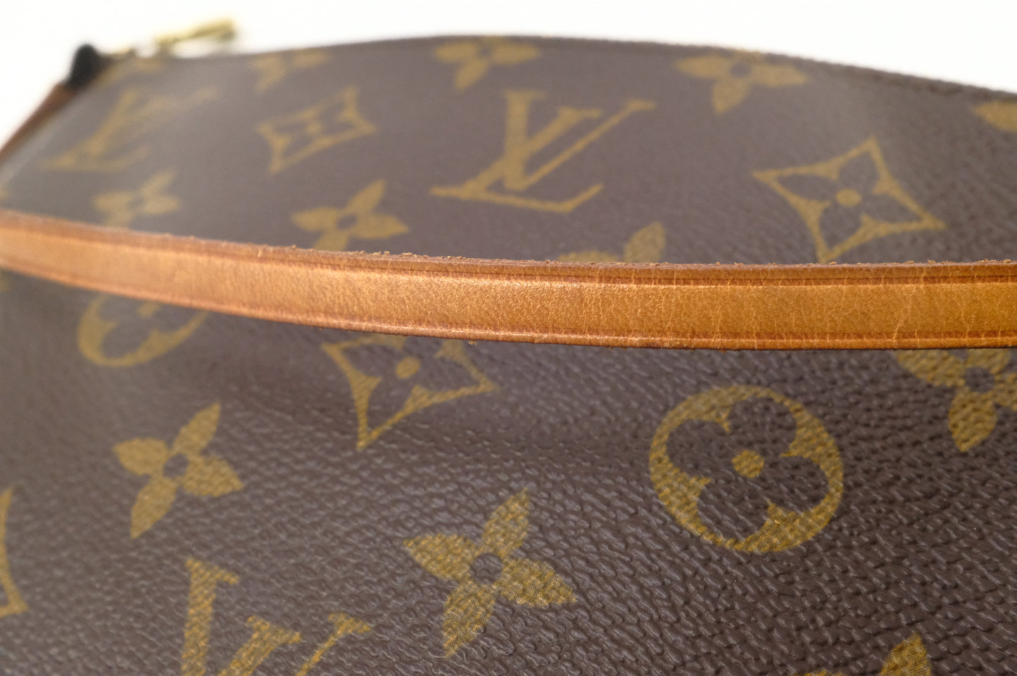 Louis Vuitton Pochette Accessoires in Monogram Canvas