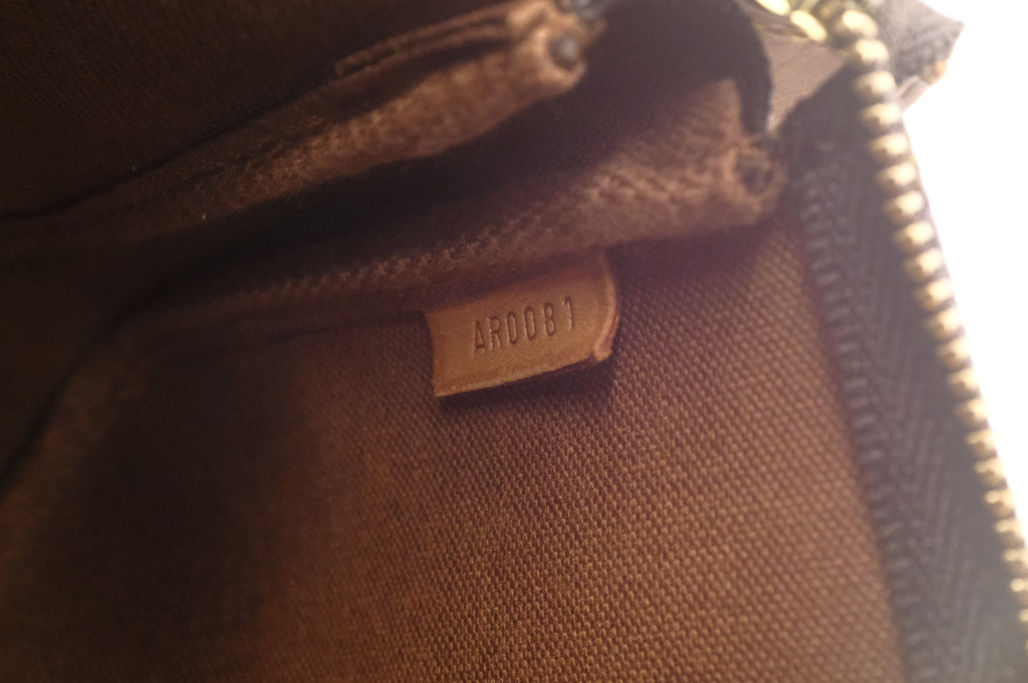 Louis Vuitton Pochette Accessoires in Monogram Canvas