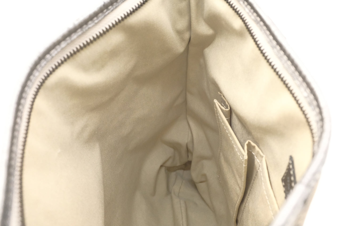Louis Vuitton Besace Angele in Gray Minilin Canvas and Metallic Silver Leather