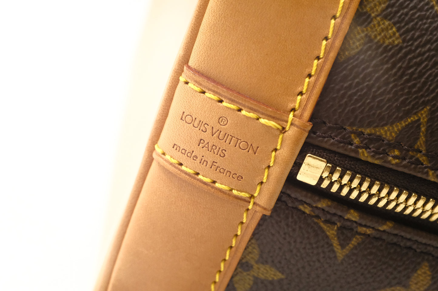 Louis Vuitton Alma PM in Monogram Canvas