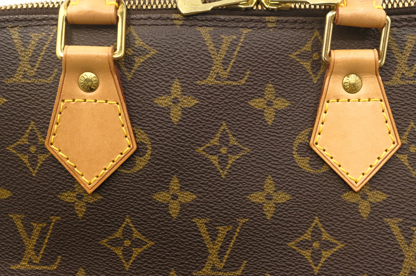 Louis Vuitton Alma PM in Monogram Canvas