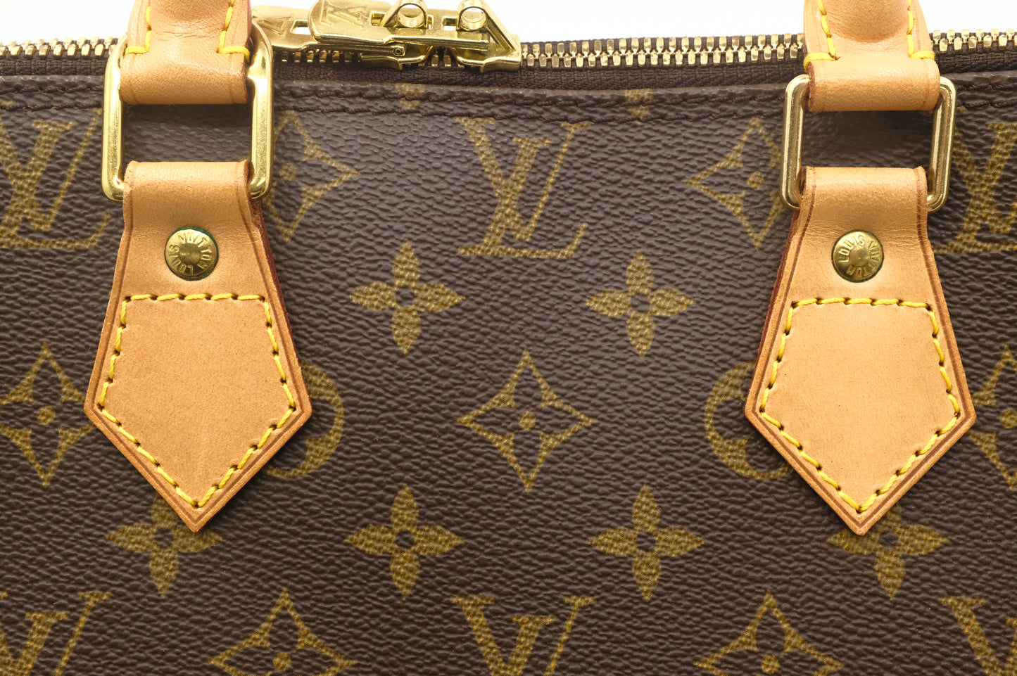 Louis Vuitton Alma PM in Monogram Canvas
