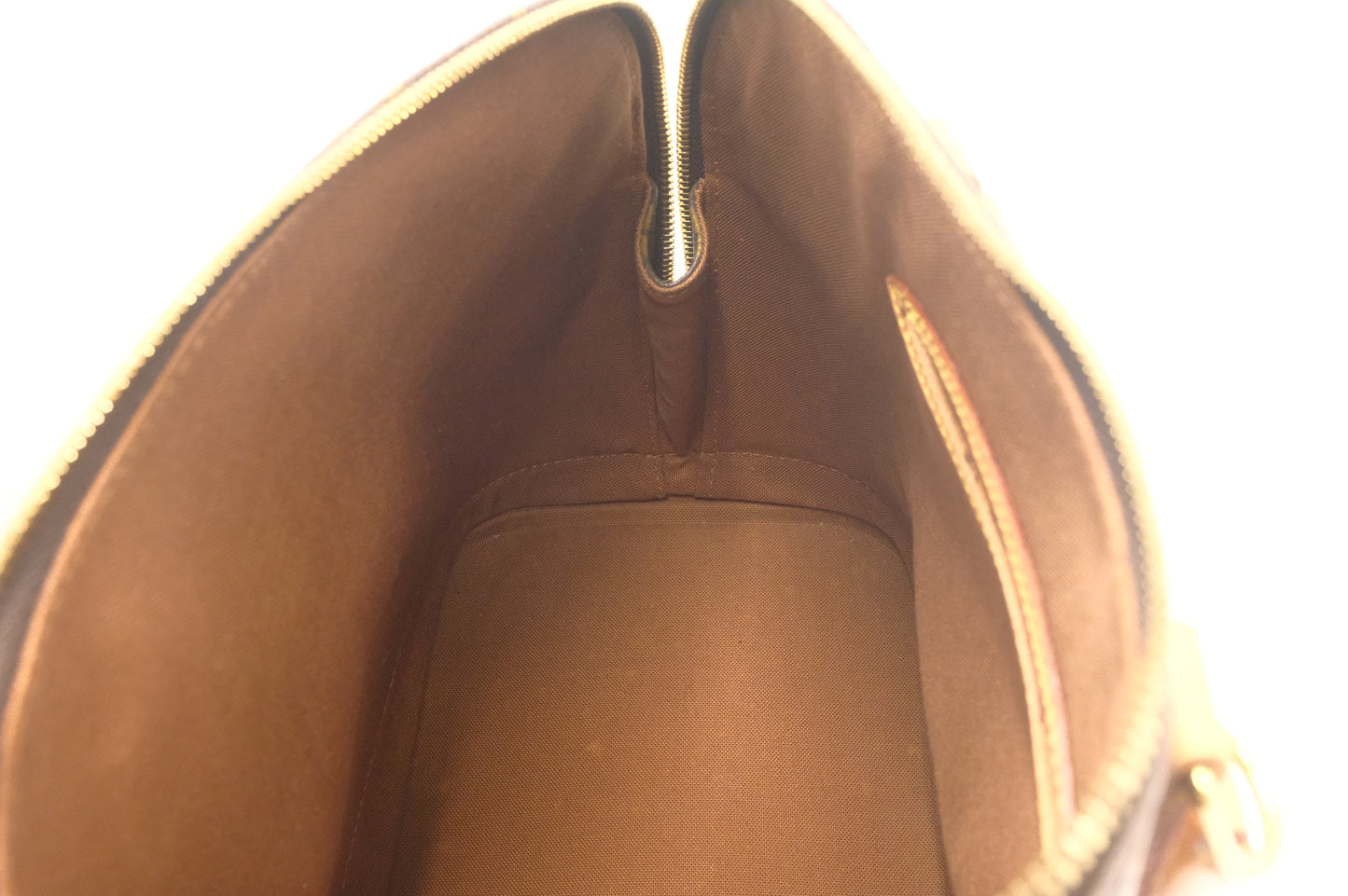 Louis Vuitton Alma PM in Monogram Canvas