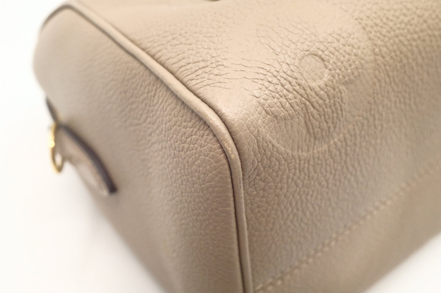 Louis Vuitton Speedy 25 in Beige Turtledove Leather