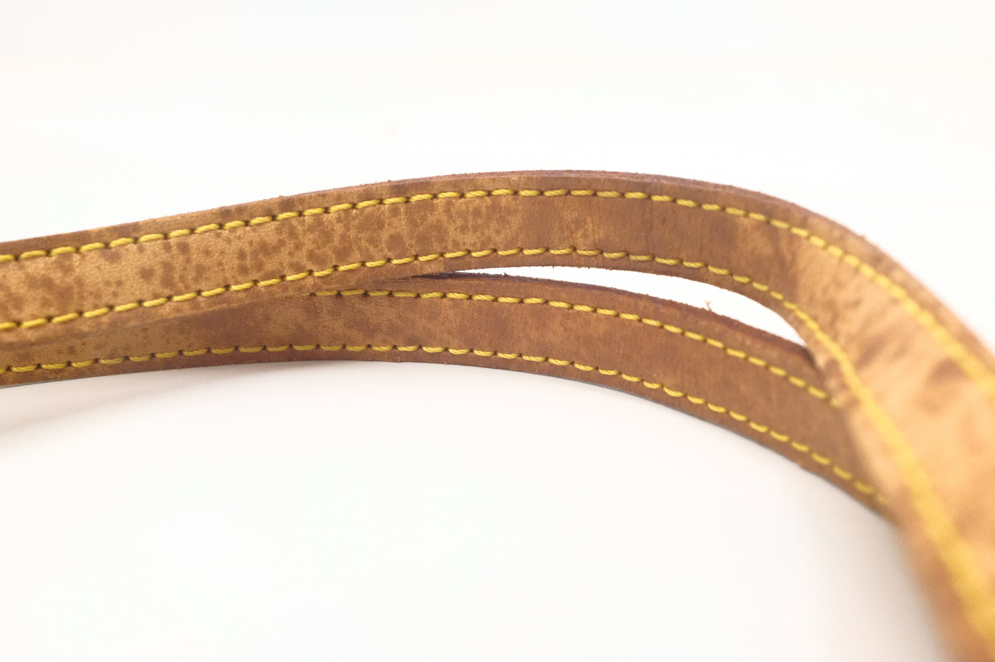 Louis Vuitton Cabas Cruise in Monogram Ambre PVC