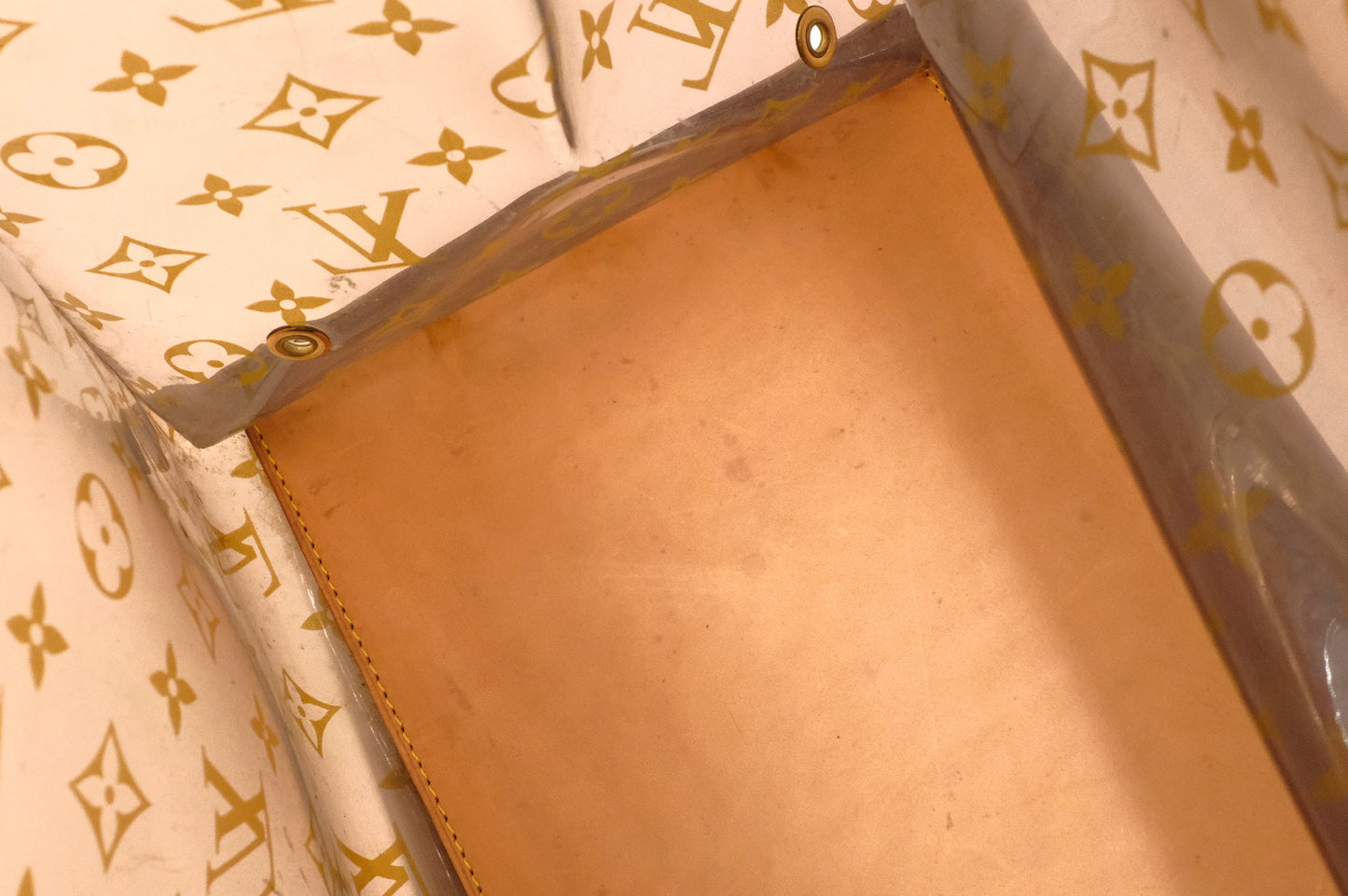 Louis Vuitton Cabas Cruise in Monogram Ambre PVC