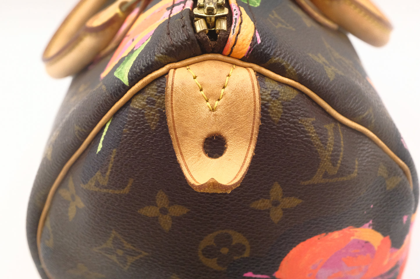 Louis Vuitton x Stephen Sprouse Speedy 30 in Roses Monogram Canvas