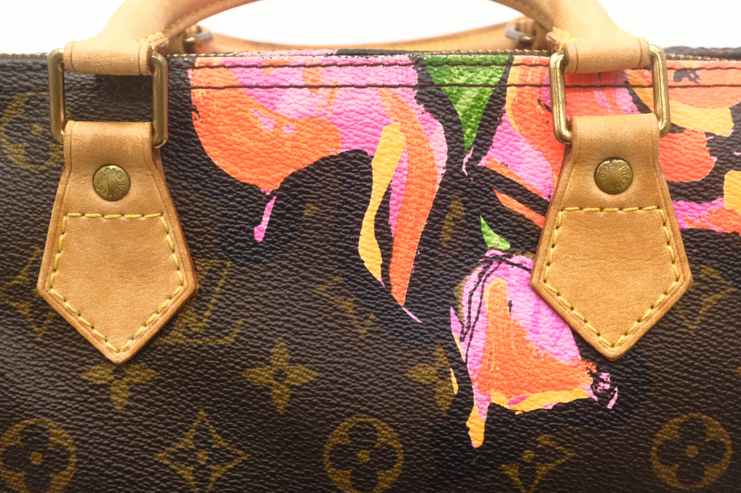 Louis Vuitton x Stephen Sprouse Speedy 30 in Roses Monogram Canvas