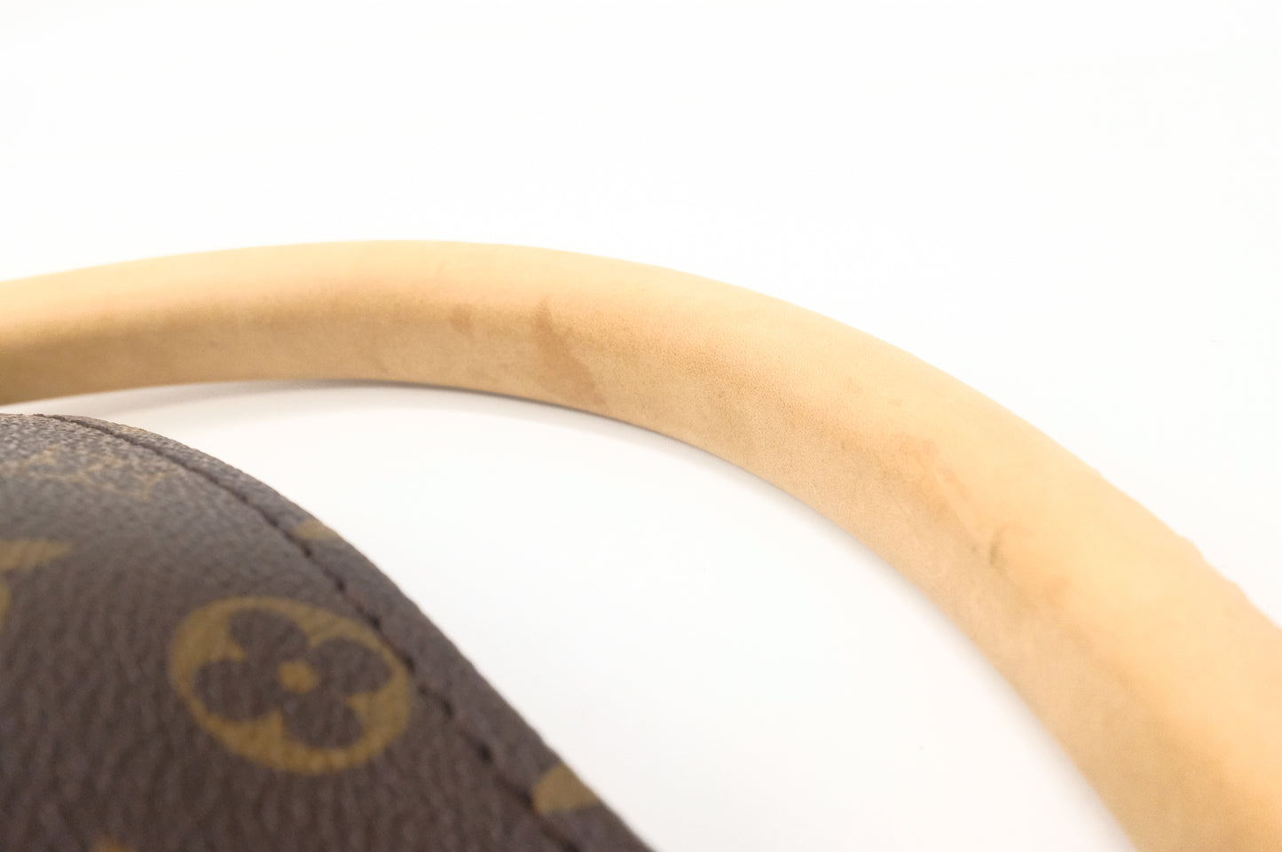 Louis Vuitton Artsy MM in Monogram Canvas