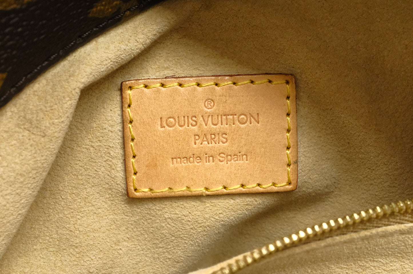 Louis Vuitton Artsy MM in Monogram Canvas