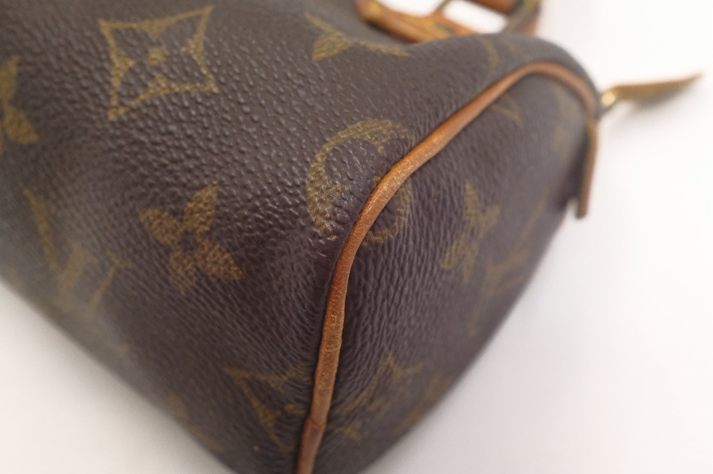 Louis Vuitton Mini Speedy in Monogram Canvas