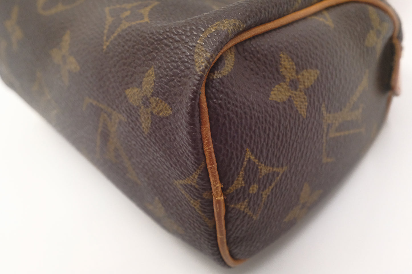 Louis Vuitton Mini Speedy in Monogram Canvas