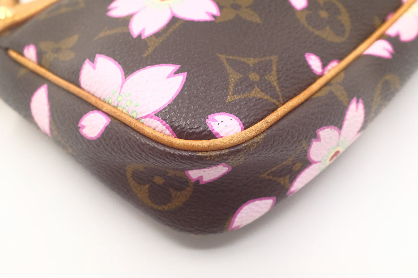 Louis Vuitton x Takashi Murakami Pochette Accessoires in Cherry Blossom Monogram Canvas