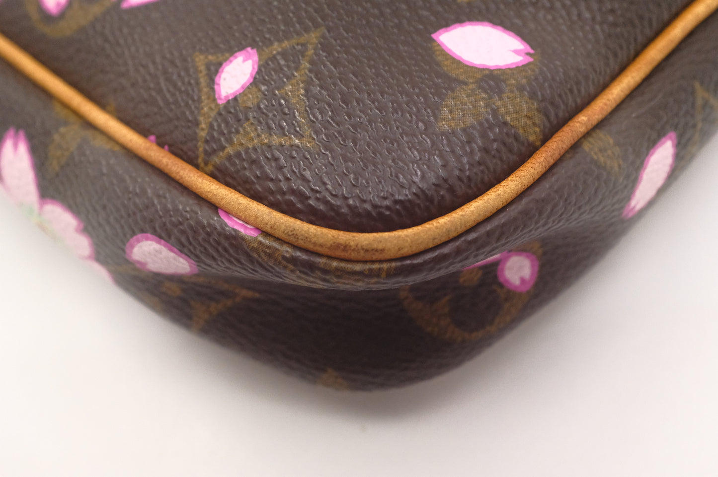 Louis Vuitton x Takashi Murakami Pochette Accessoires in Cherry Blossom Monogram Canvas