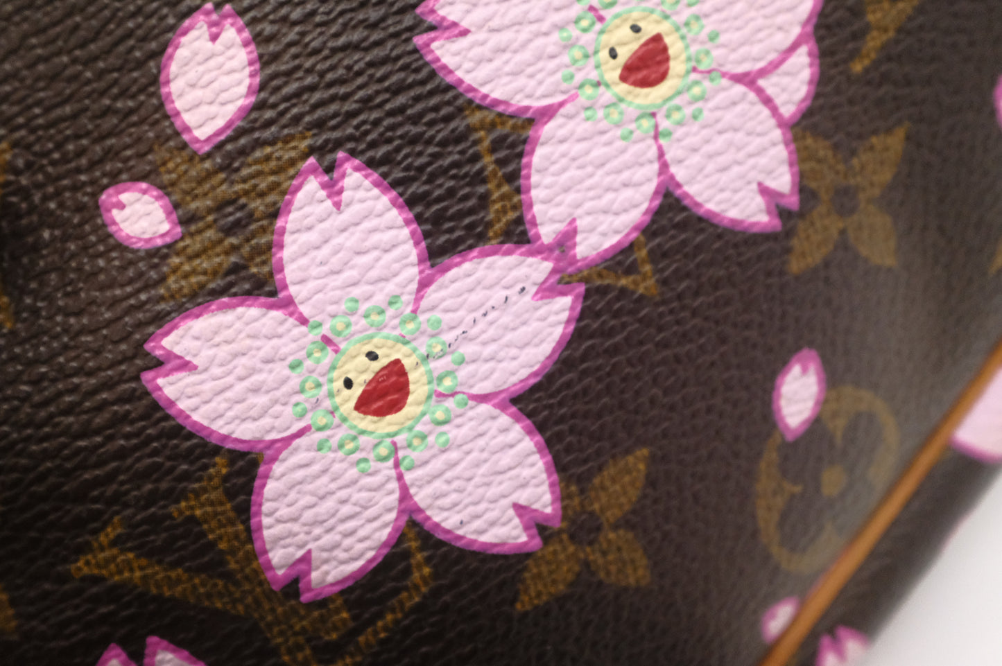 Louis Vuitton x Takashi Murakami Pochette Accessoires in Cherry Blossom Monogram Canvas