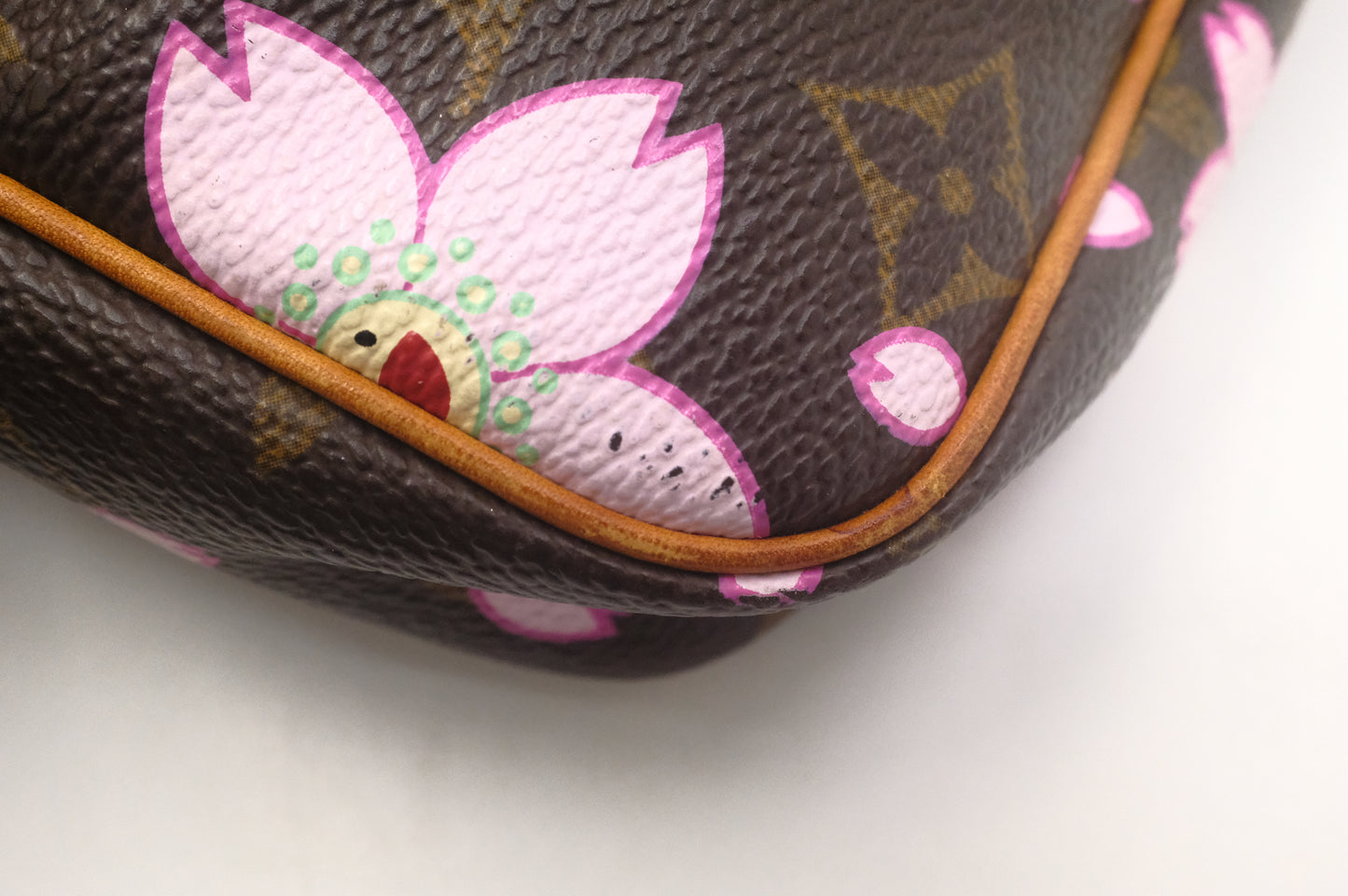 Louis Vuitton x Takashi Murakami Pochette Accessoires in Cherry Blossom Monogram Canvas