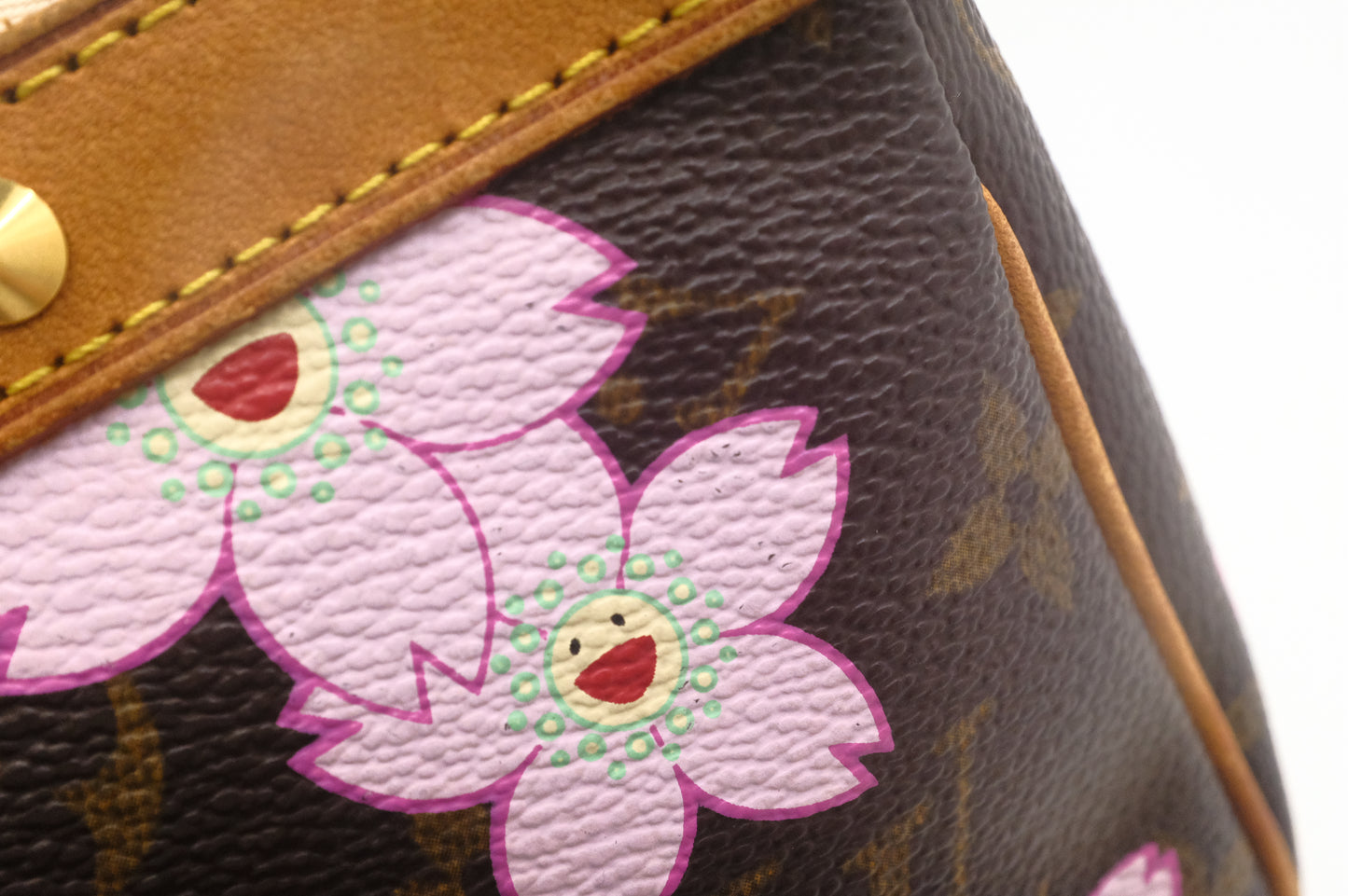 Louis Vuitton x Takashi Murakami Pochette Accessoires in Cherry Blossom Monogram Canvas